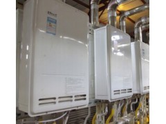 求購(gòu)史密斯smith多種物美價(jià)廉的燃?xì)鉄崴仩t