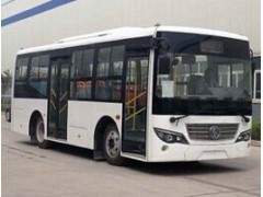 求購左駕或右駕7.7米柴油天然氣公交車