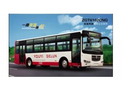 求購天然氣城市客車