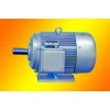 Y系列三相異步電動(dòng)機(jī) 低壓電機(jī)電力拖動(dòng)
