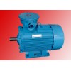 德州恒力YB2系列隔爆型三相異步電動機(jī)