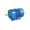 樂清市邁成機(jī)電設(shè)備/Y系列普通電機(jī)