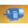 YD系列變極多速三相異步電動(dòng)機(jī)低壓電機(jī)