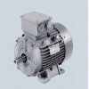 1LE0系列西門子高效節(jié)能電動(dòng)機(jī)