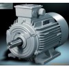 SIEMENS/西門子 三相異步電動機