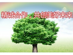 求購工程服務(wù) 工程咨詢