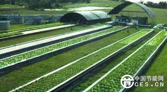 QQ截圖20180126141430