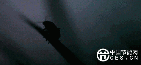 關(guān)于光與照明的冷知識，你知道幾個？