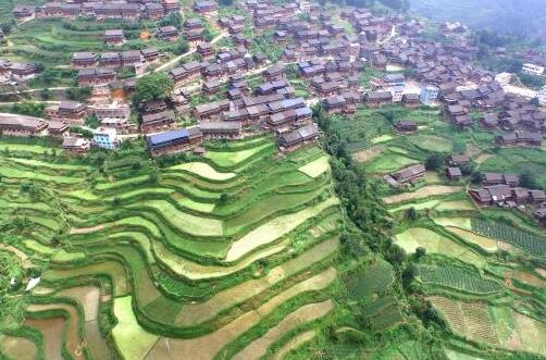 QQ截圖20180130130155