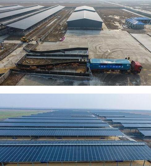 QQ截圖20180131143553