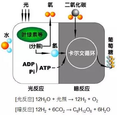 QQ截圖20180227094613