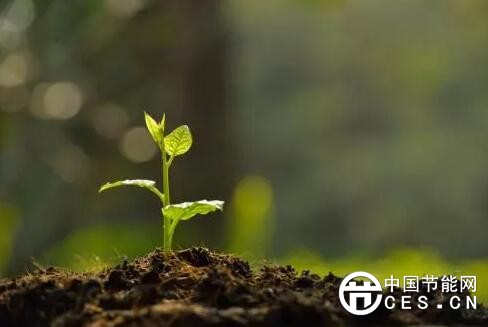 QQ截圖20180320083742