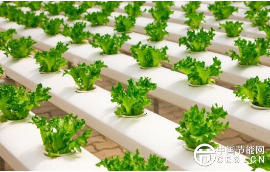 QQ截圖20180402064908