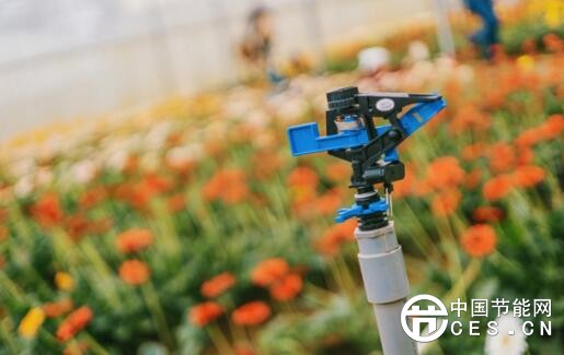 QQ截圖20180402064900