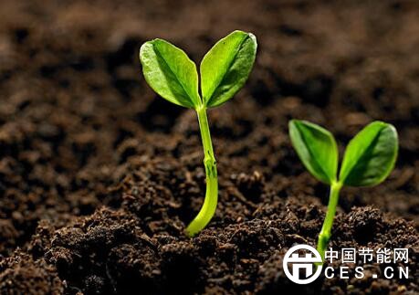 QQ截圖20180402070511