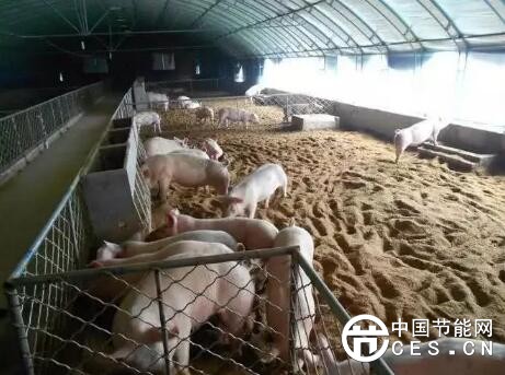 QQ截圖20180402071947