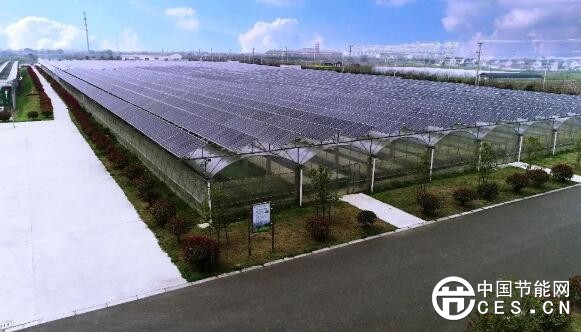 QQ截圖20180406081443