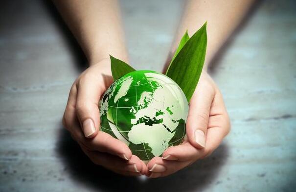 QQ截圖20180428154140