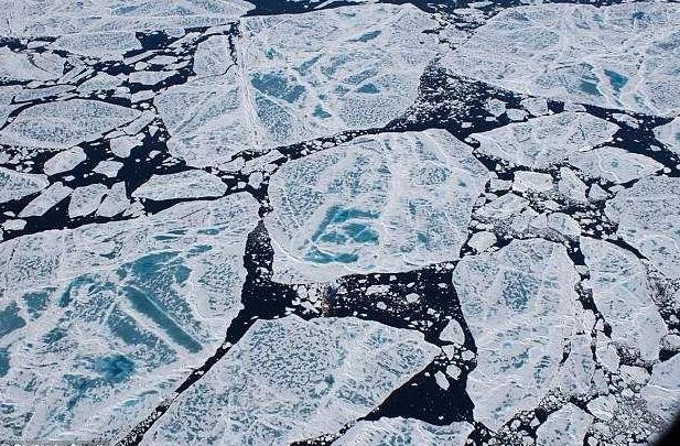 QQ截圖20180502072347