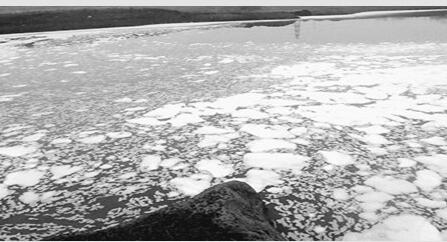 QQ截圖20180504152620