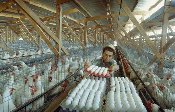 QQ截圖20180509065144