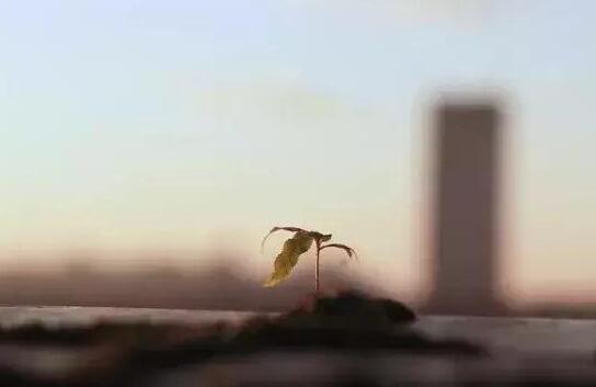 QQ截圖20180510081900