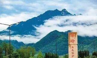 QQ截圖20180516081823