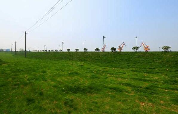 QQ截圖20180517080649