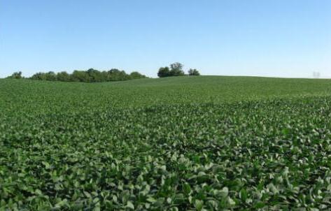 QQ截圖20180521105149