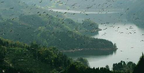 QQ截圖20180523080556