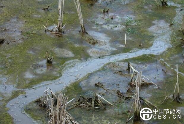 QQ截圖20180528225117