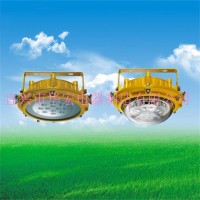 ZL8923 固定防爆節(jié)能工作燈 LED防爆燈 礦用防爆燈