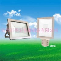 80W100W120W200W LED防爆泛燈LED防爆路燈