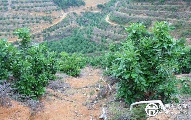 QQ截圖20180603060714