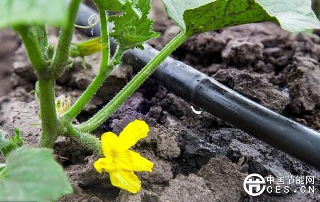 QQ截圖20180603060800