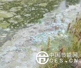 QQ截圖20180603080243