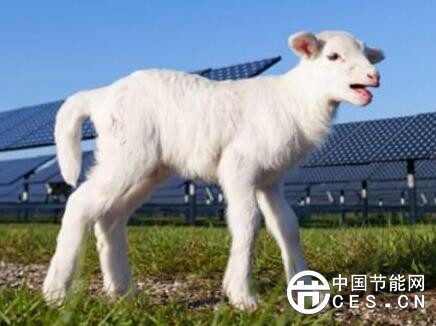 QQ截圖20180604170835