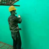 晟華玻璃鱗片面漆