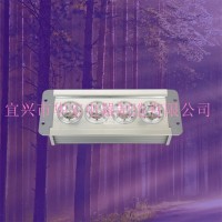 固態(tài)應(yīng)急照明燈 LED應(yīng)急照明兩用燈