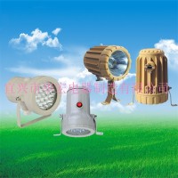 容器防爆照明  隔爆型防爆視孔燈（ⅡB、ⅡC）