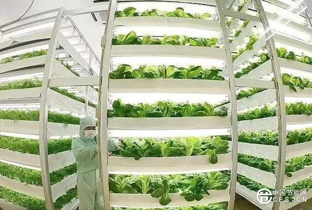 QQ截圖20180611093908