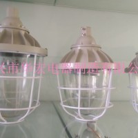 隔爆型防爆燈(IIB)  防爆防腐燈 專業(yè)防爆燈