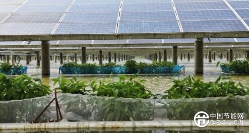 QQ截圖20180626075523