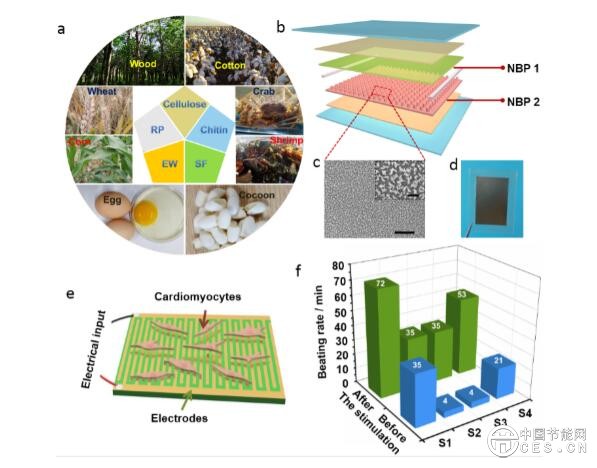 科研人員開發(fā)出生物全可吸收純天然材料摩擦納米發(fā)電機(jī)