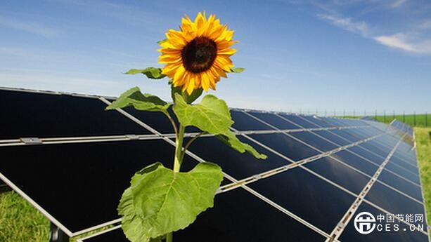 QQ截圖20180705085930