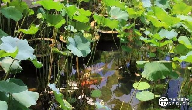 QQ截圖20180709125506