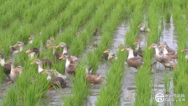 QQ截圖20180709125515