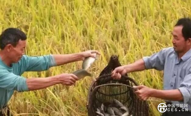 QQ截圖20180709125523