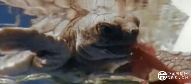 QQ截圖20180726100214