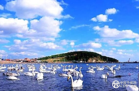 QQ截圖20180731081451